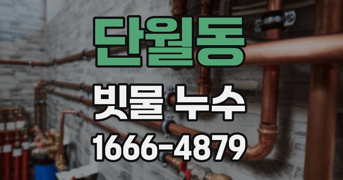 단월동 빗물 누수