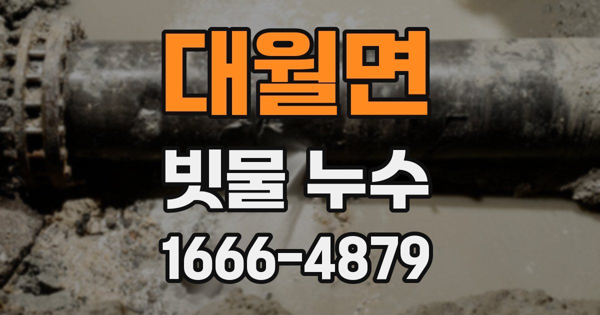 대월면 빗물 누수