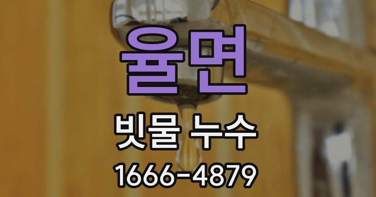 율면 빗물 누수
