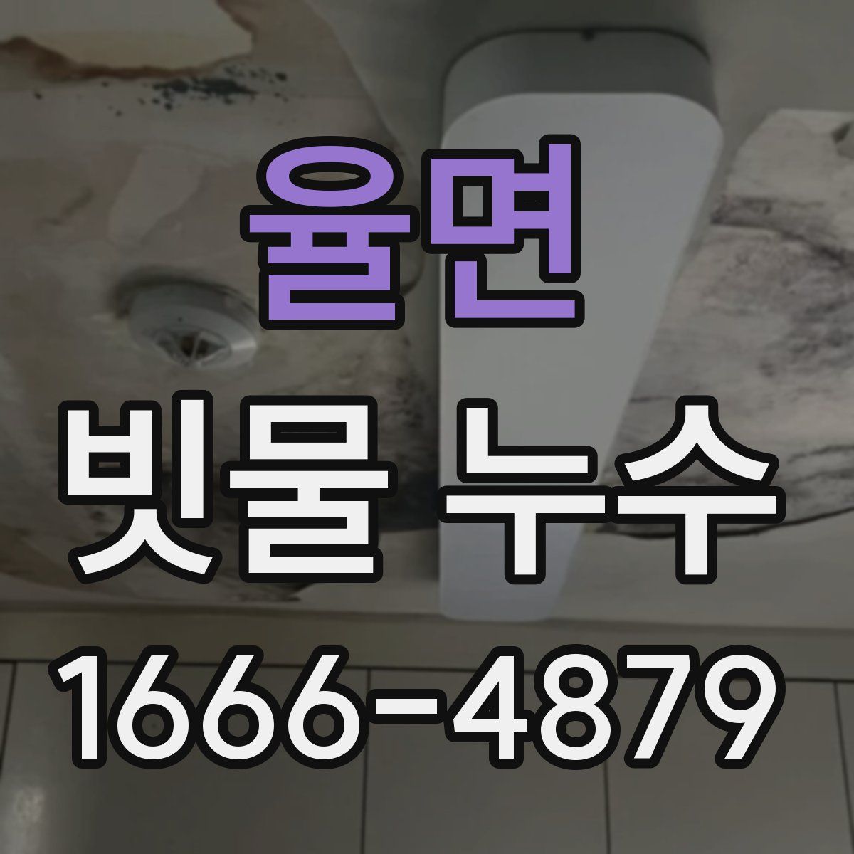 율면 빗물 누수