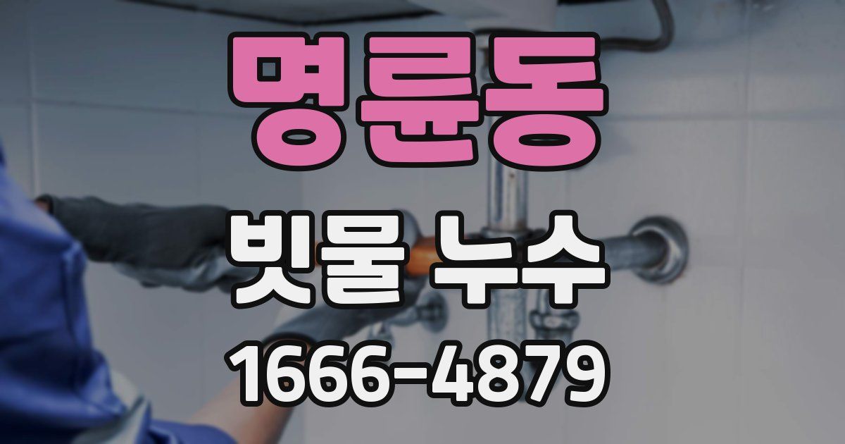 명륜동 빗물 누수