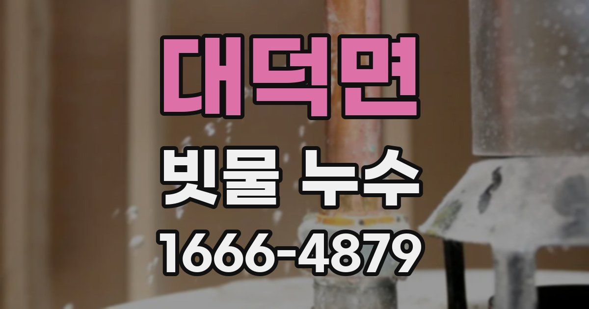 대덕면 빗물 누수