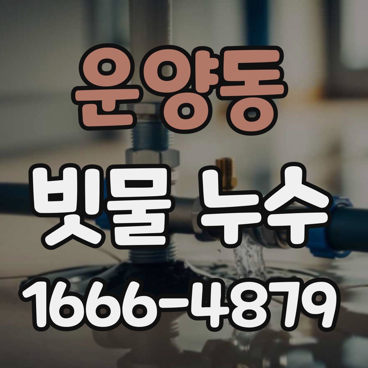 운양동 빗물 누수