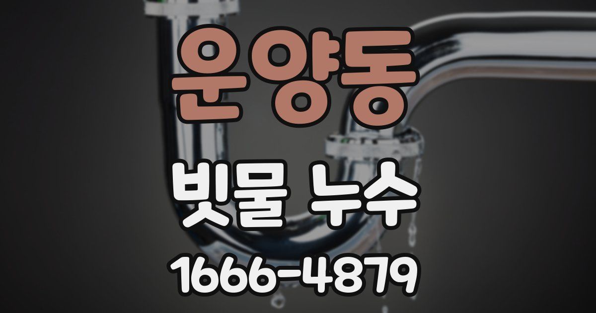 운양동 빗물 누수