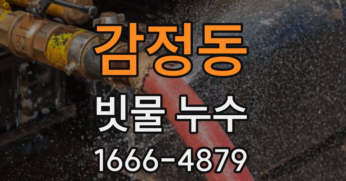 감정동 빗물 누수