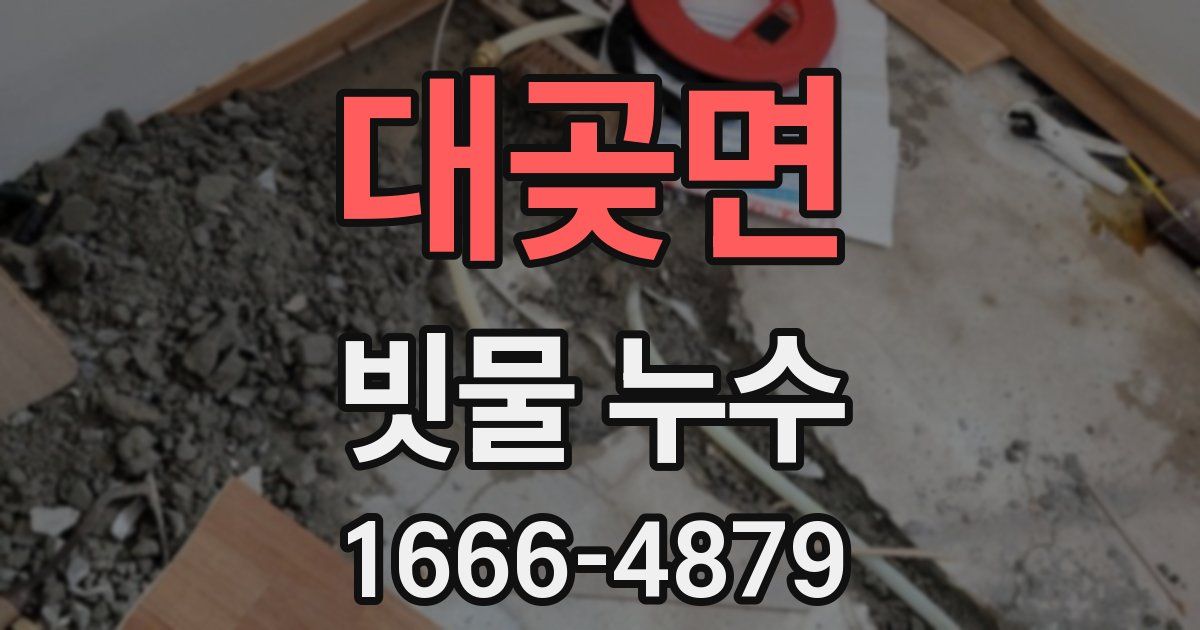 대곶면 빗물 누수