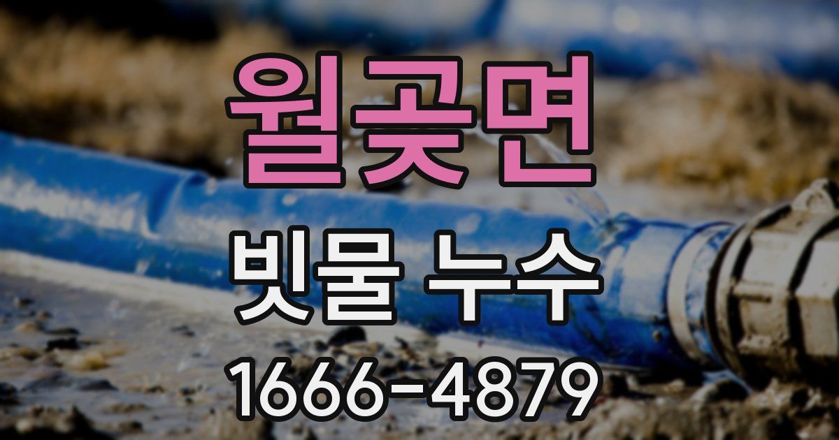 월곶면 빗물 누수