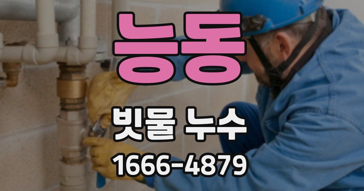 능동 빗물 누수