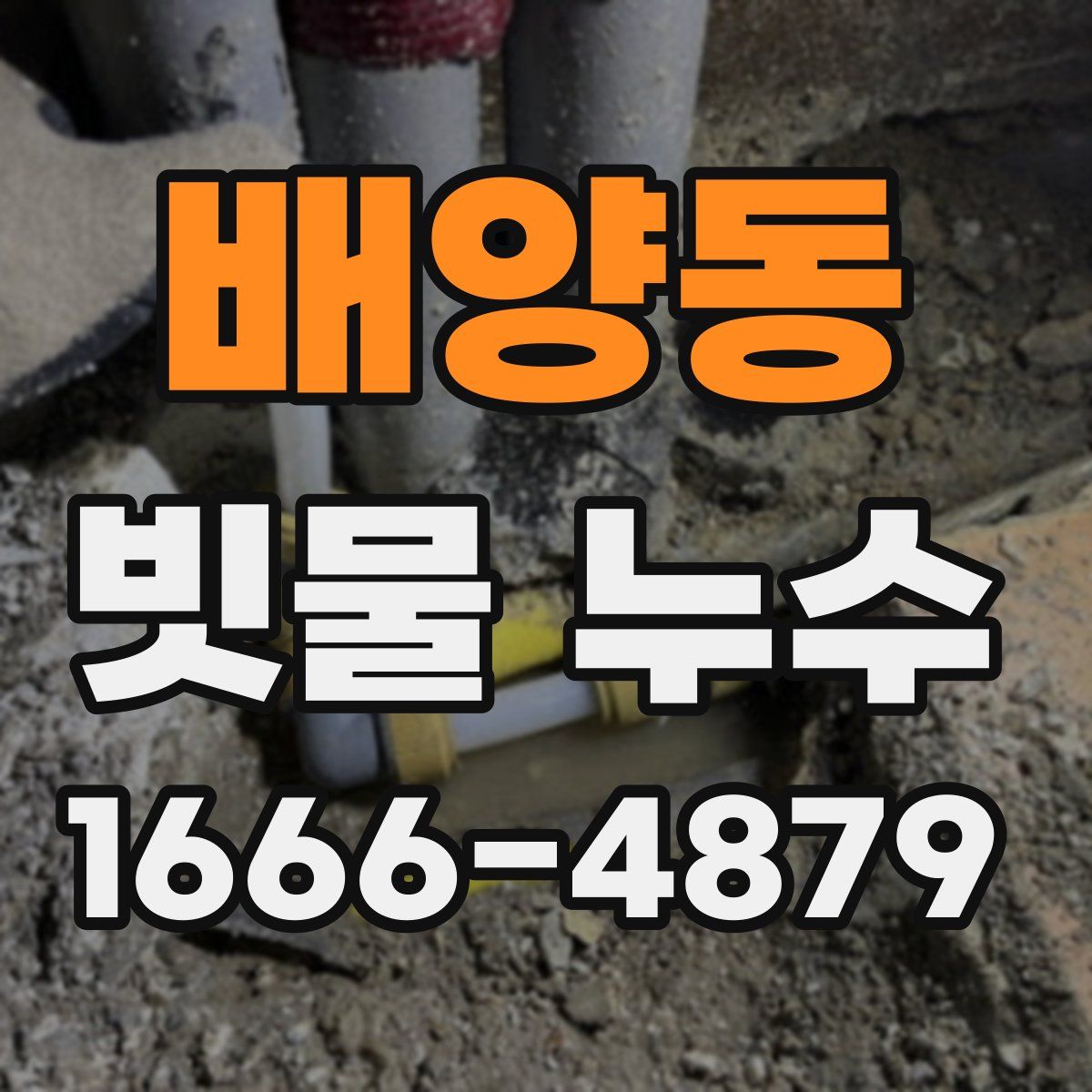 배양동 빗물 누수