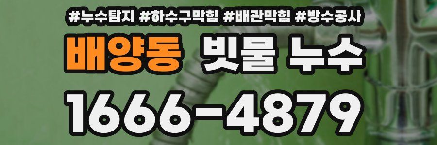 배양동 빗물 누수