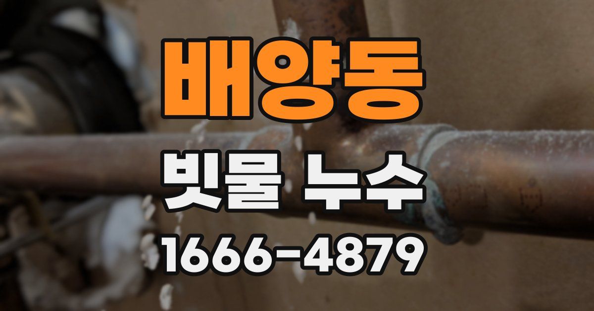 배양동 빗물 누수