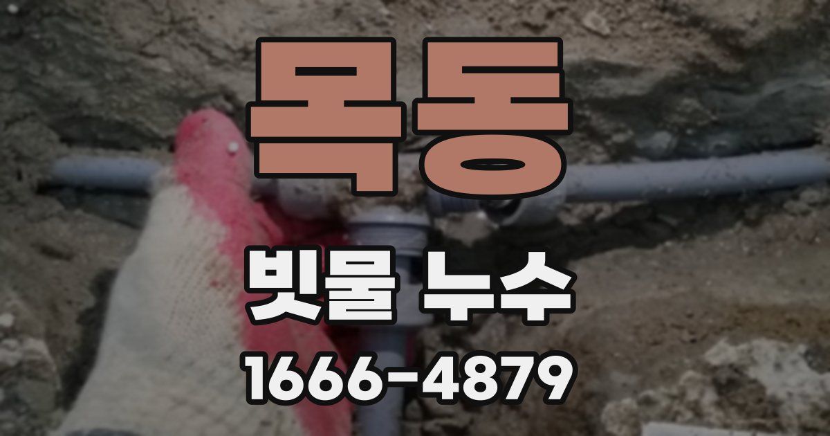 목동 빗물 누수