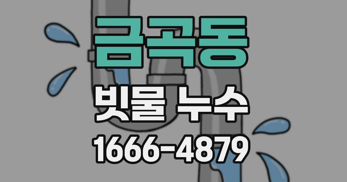 금곡동 빗물 누수