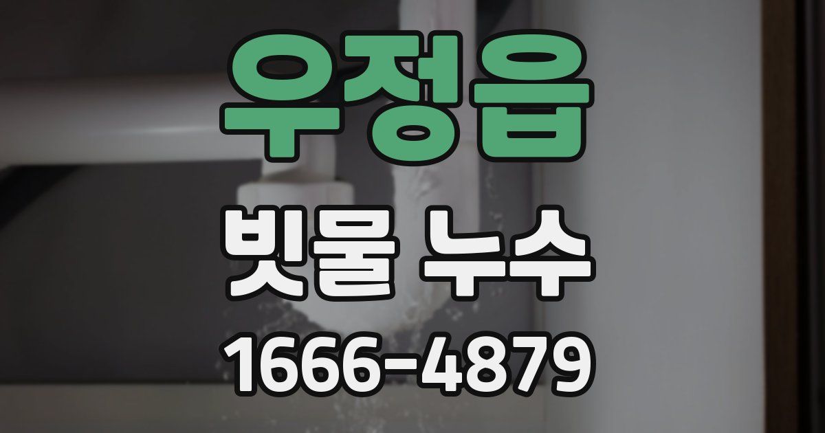 우정읍 빗물 누수