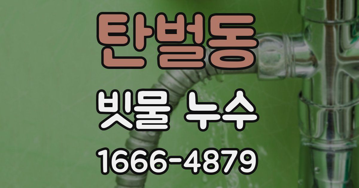 탄벌동 빗물 누수