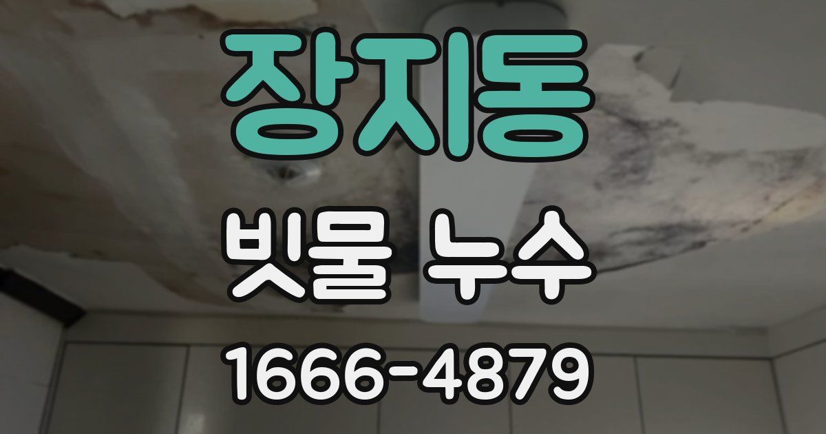 장지동 빗물 누수