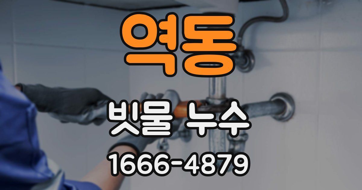 역동 빗물 누수