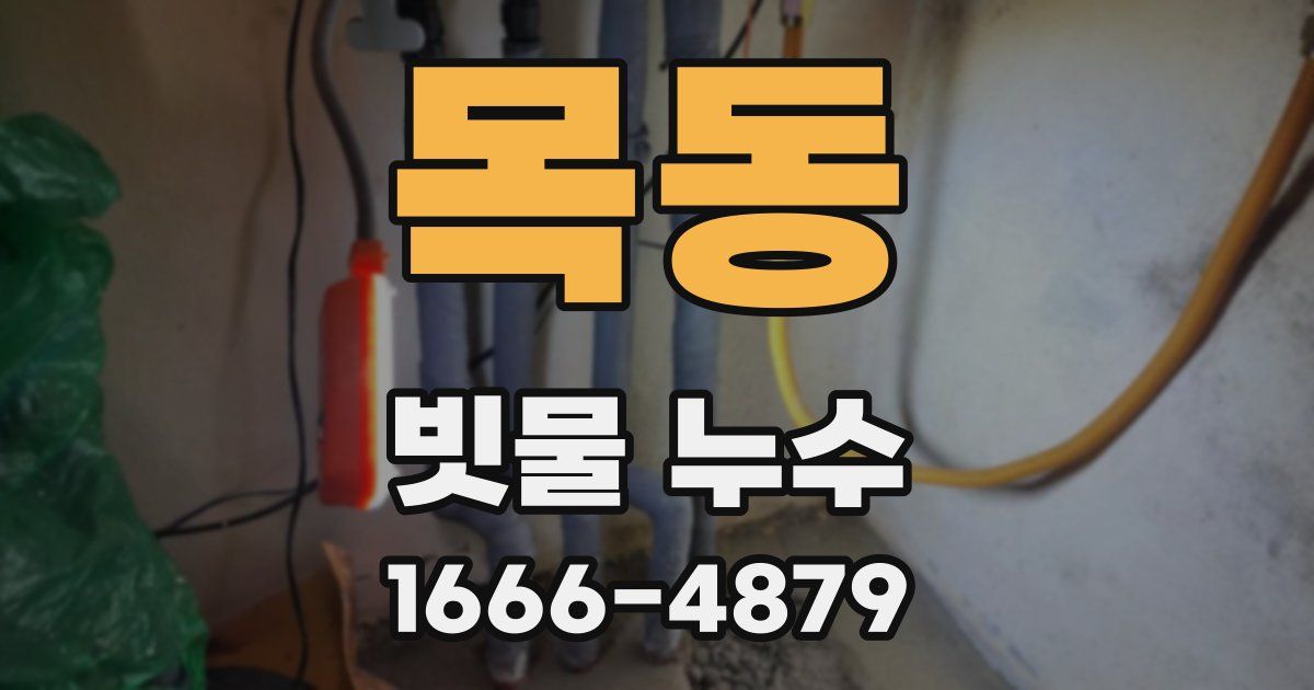 목동 빗물 누수