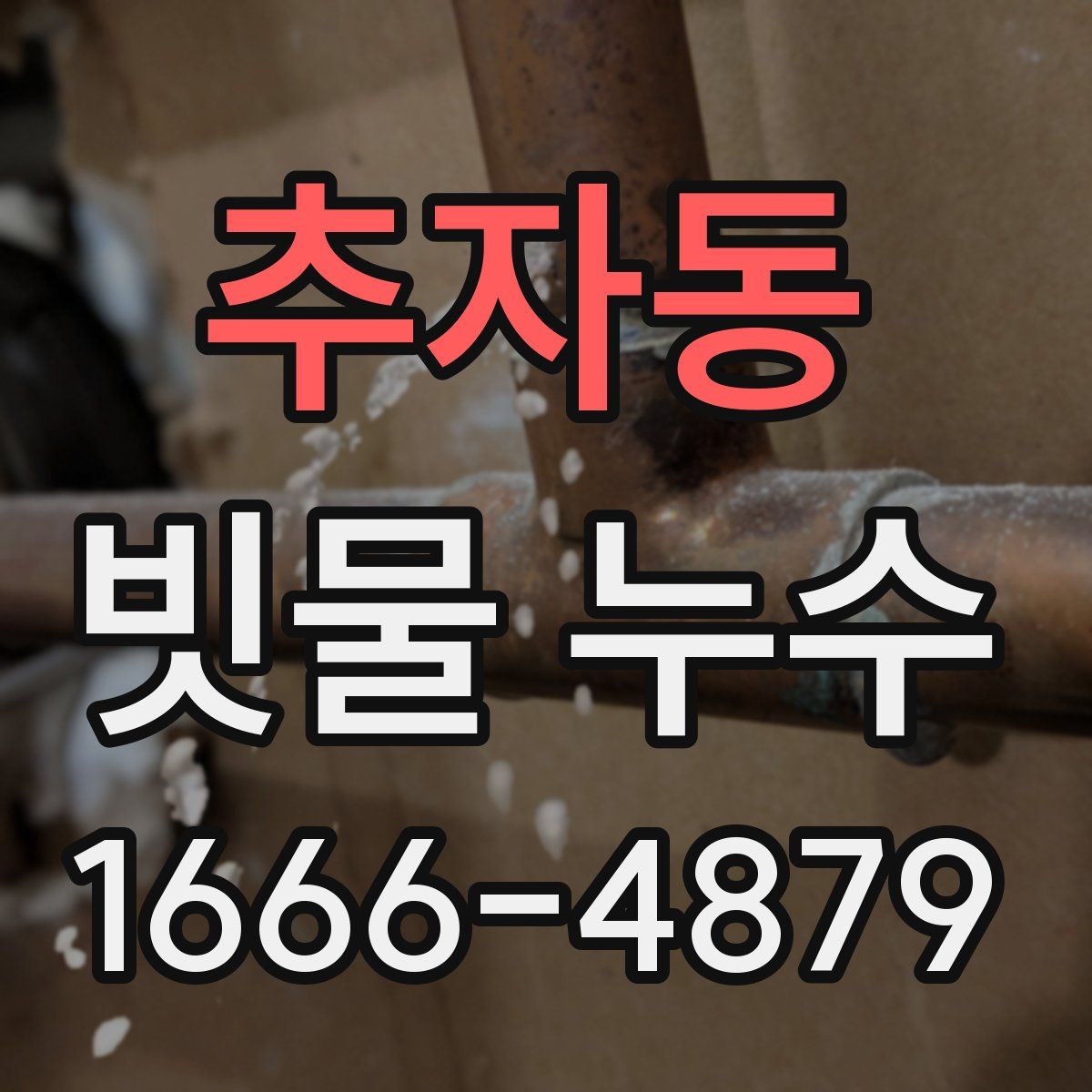 추자동 빗물 누수