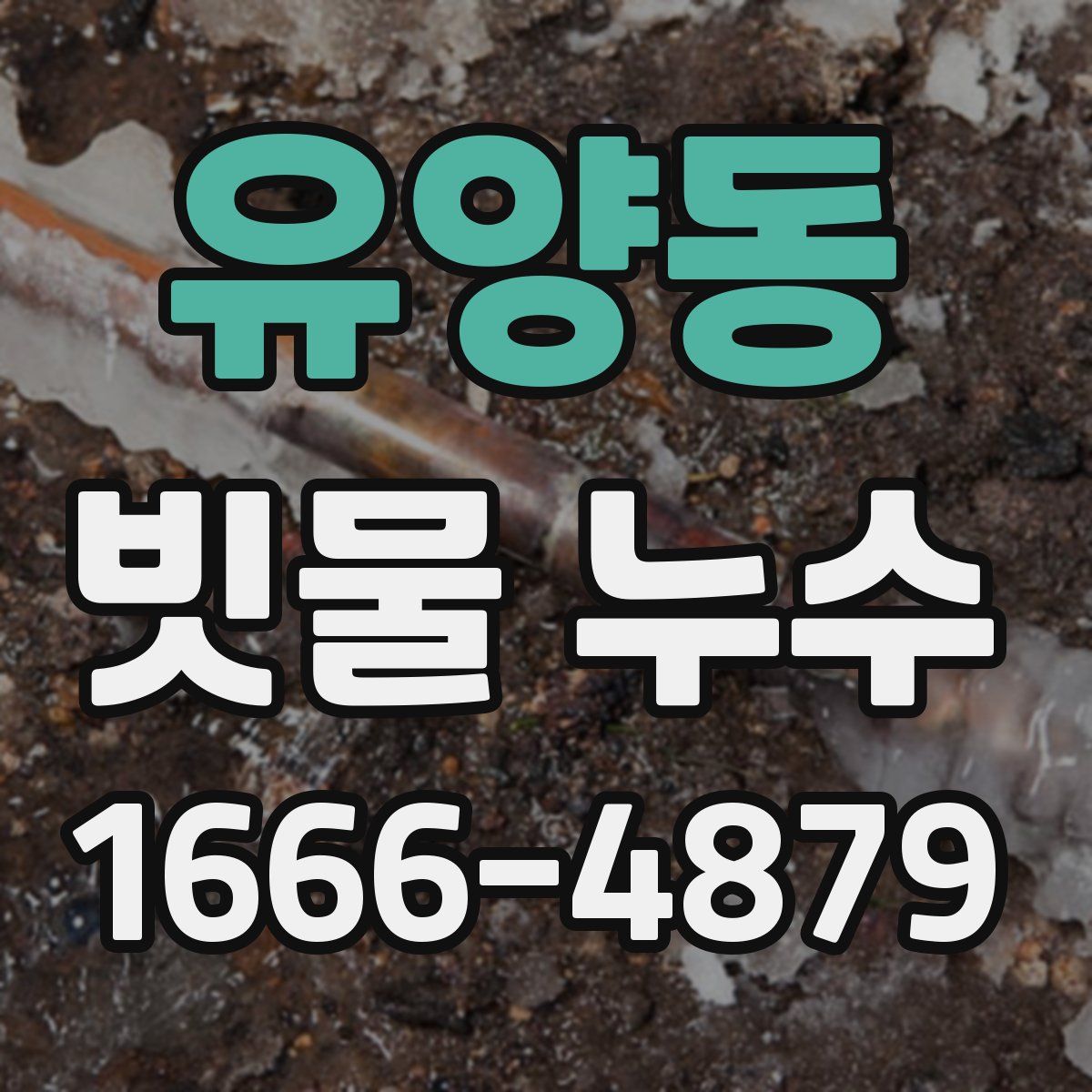 유양동 빗물 누수