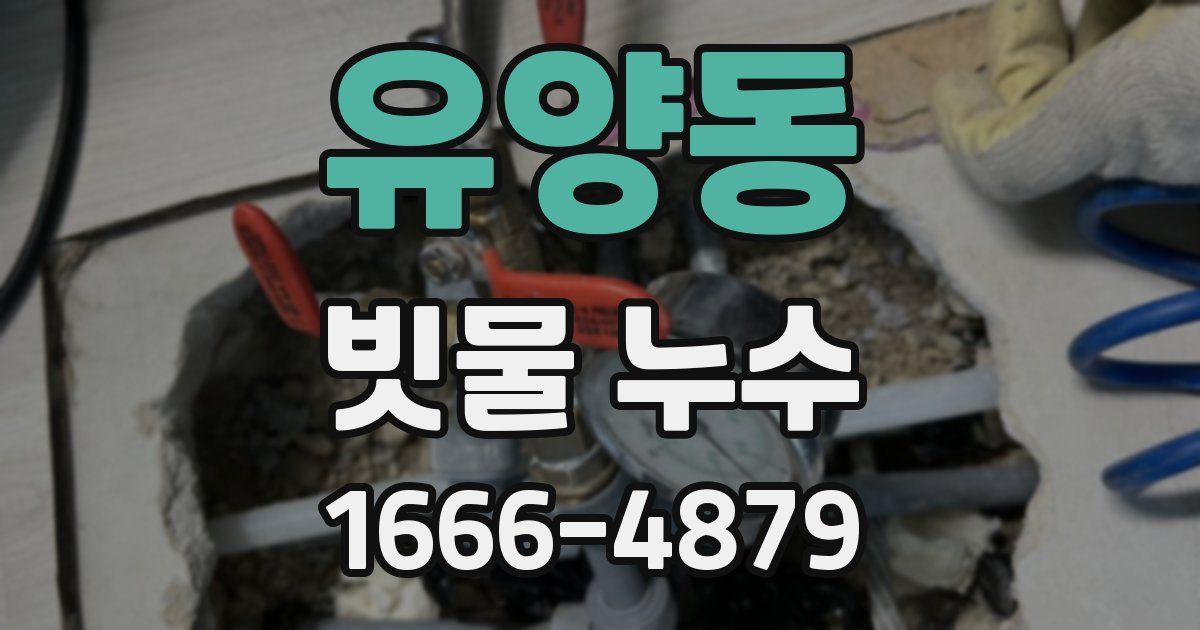 유양동 빗물 누수