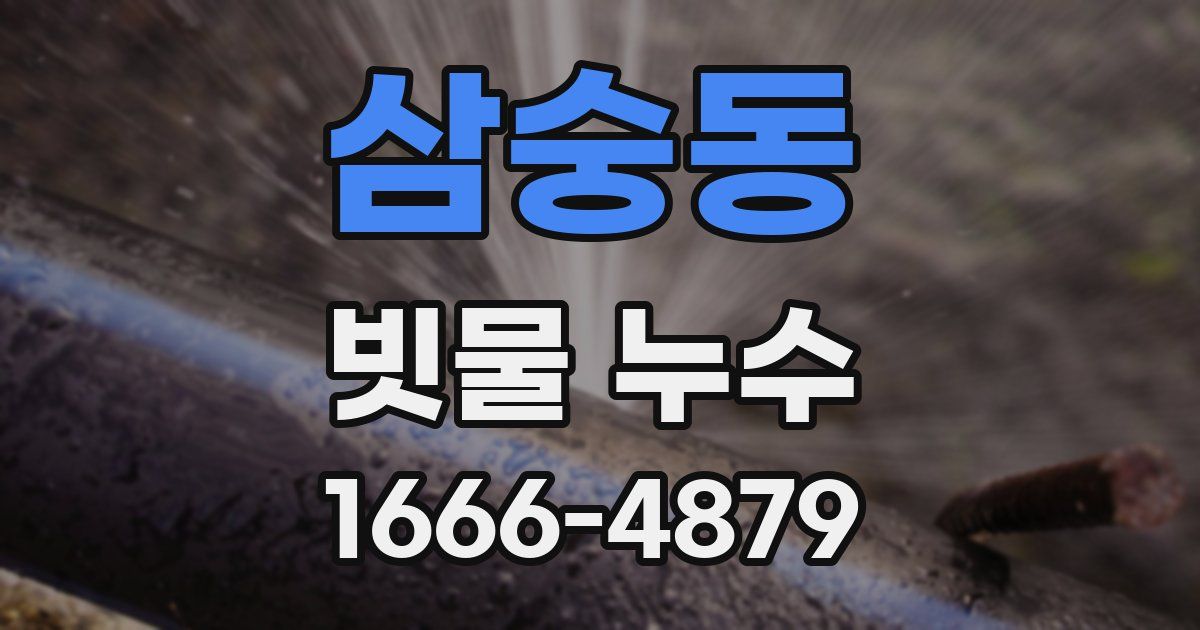 삼숭동 빗물 누수