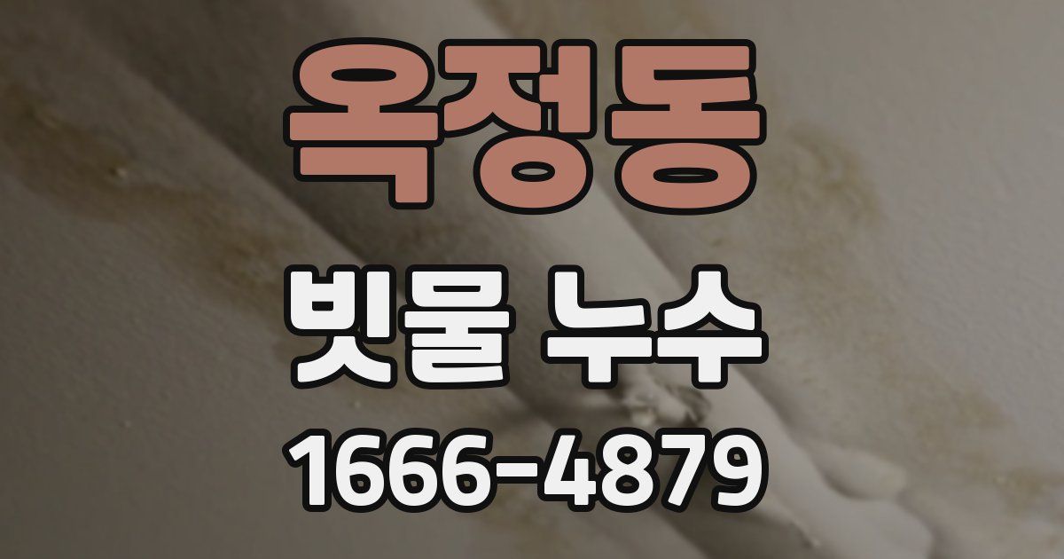 옥정동 빗물 누수