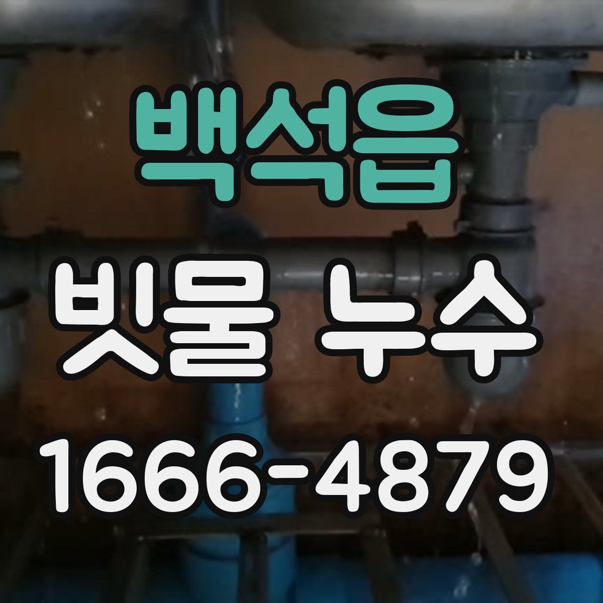 백석읍 빗물 누수