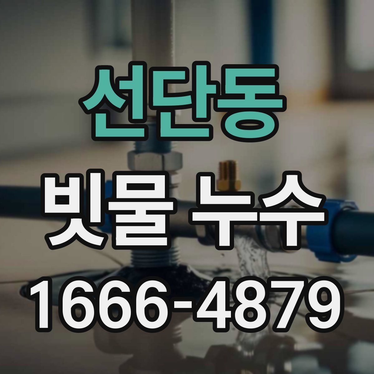 선단동 빗물 누수
