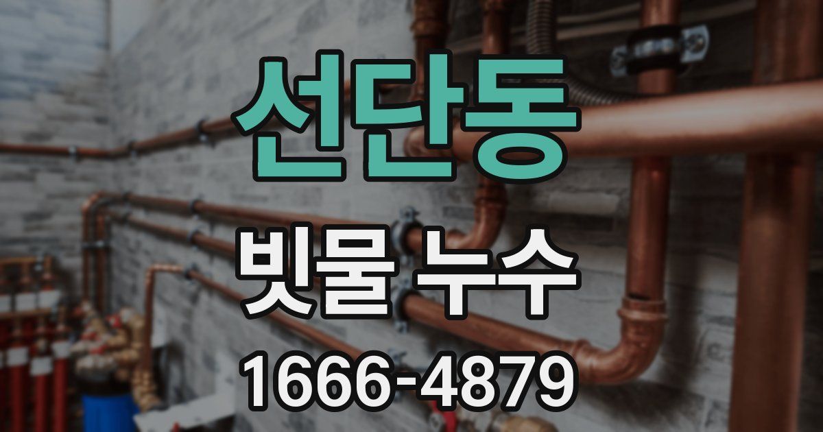 선단동 빗물 누수