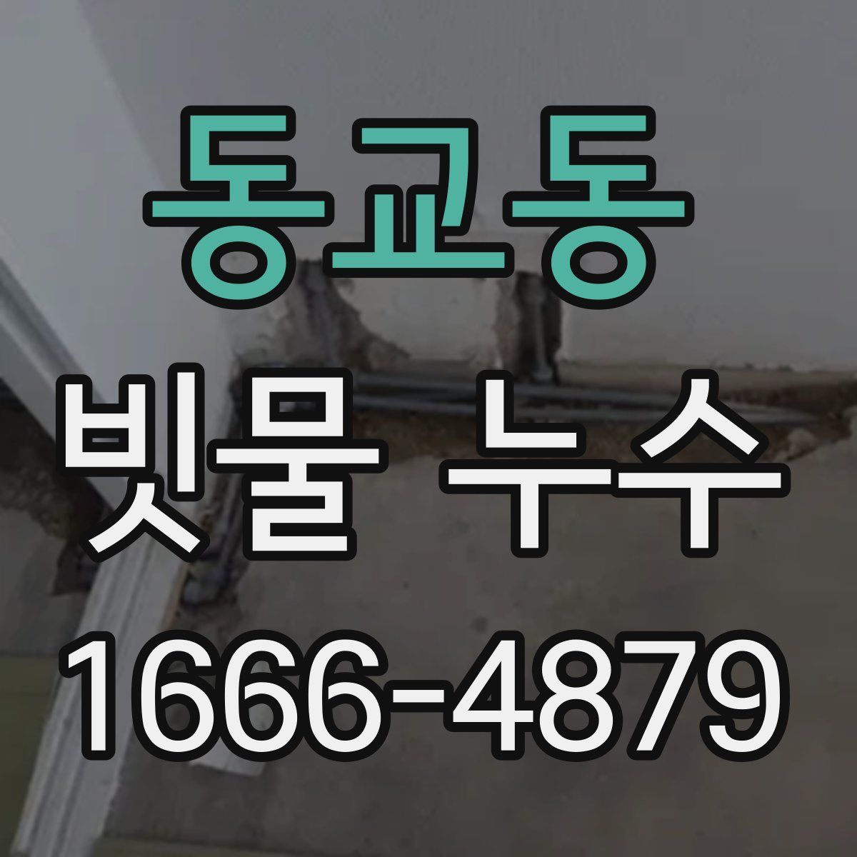 동교동 빗물 누수