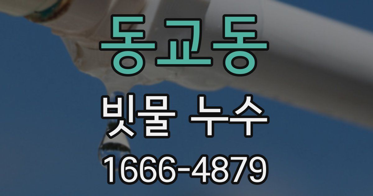 동교동 빗물 누수