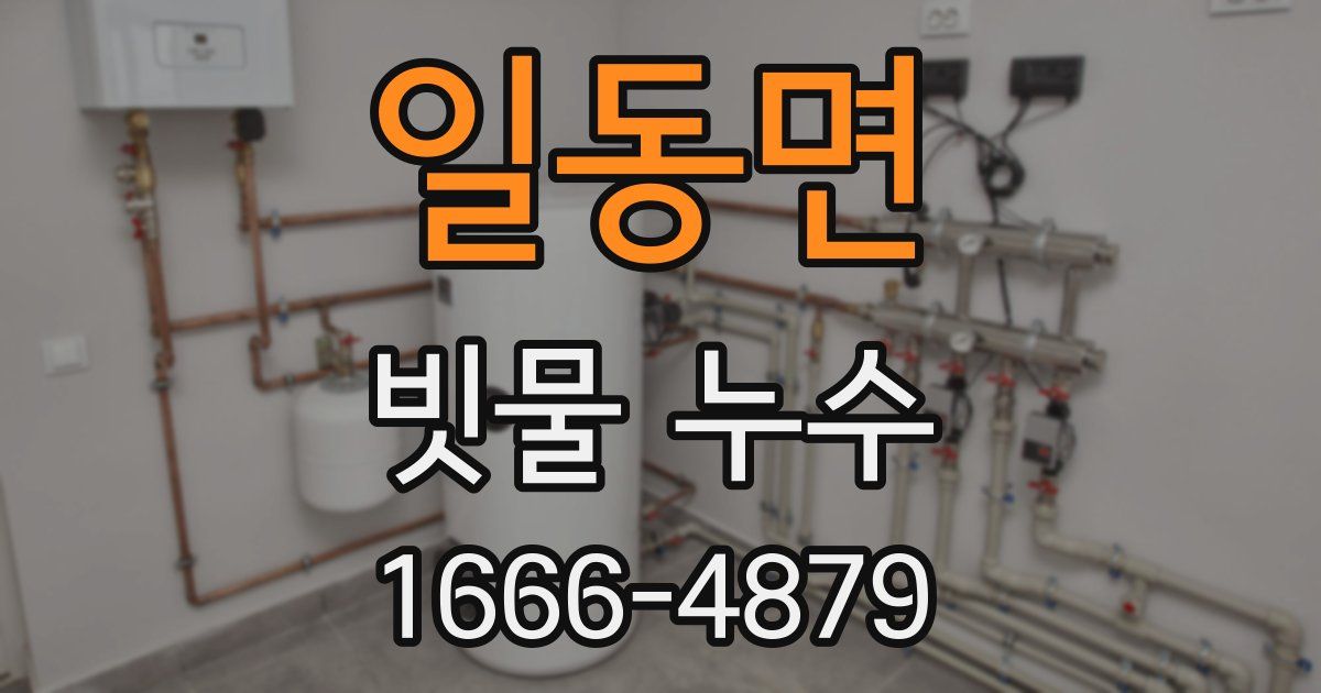일동면 빗물 누수