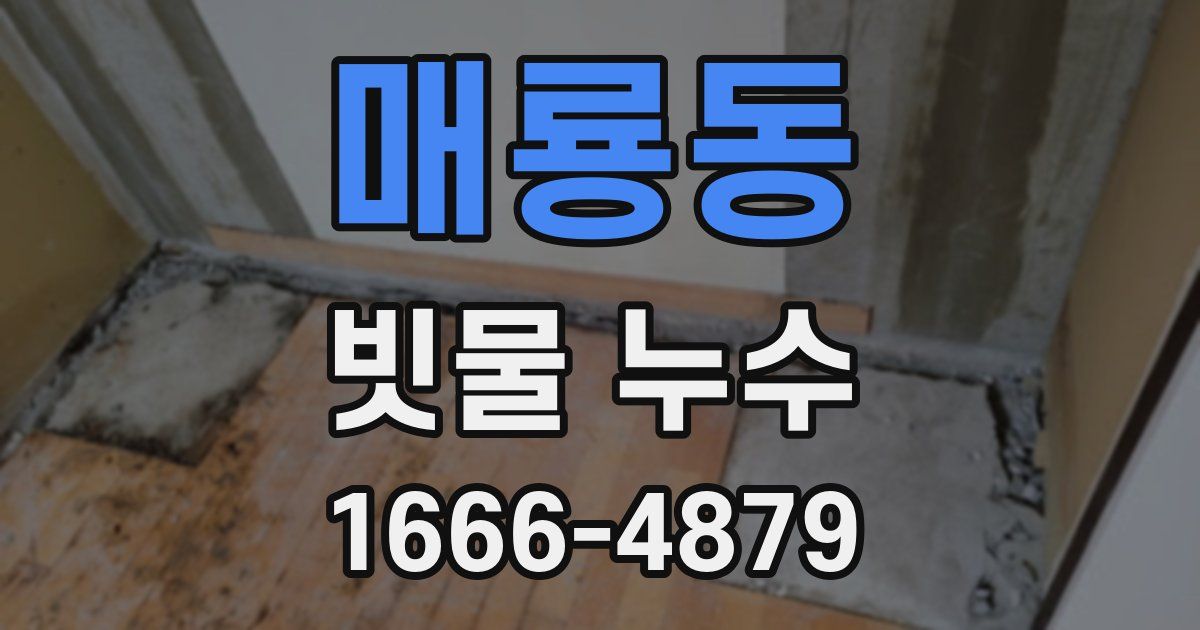 매룡동 빗물 누수