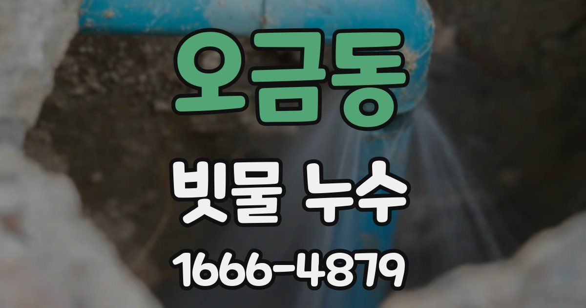 오금동 빗물 누수