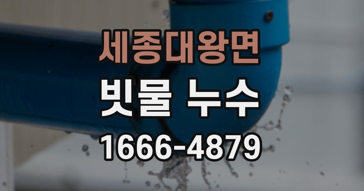 세종대왕면 빗물 누수
