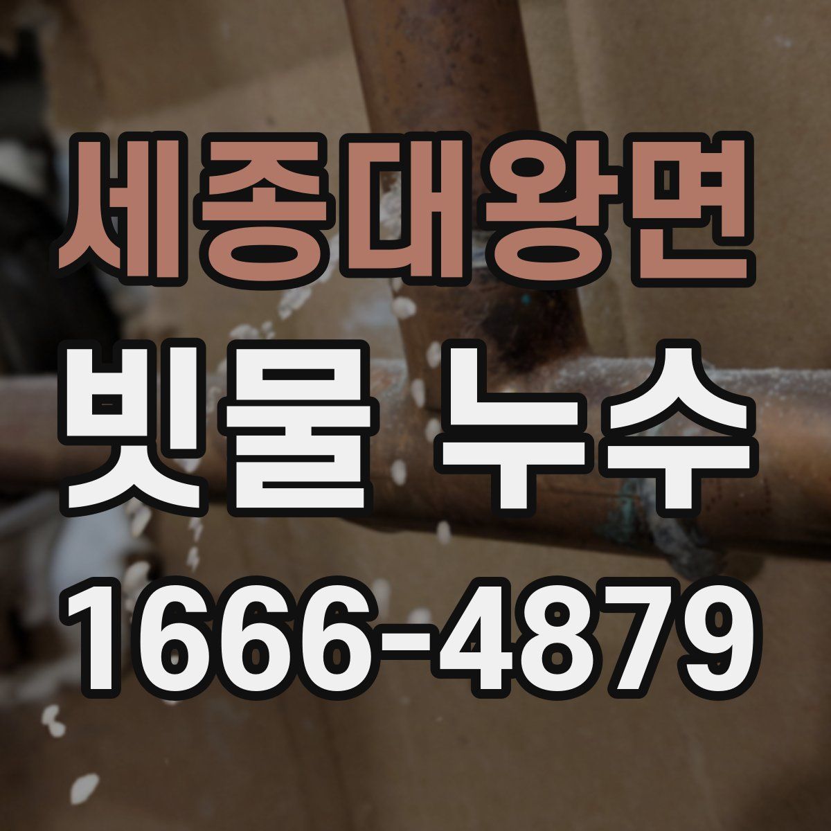 세종대왕면 빗물 누수