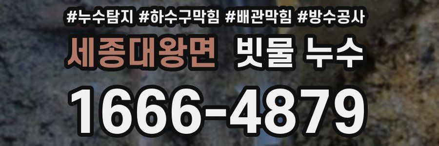 세종대왕면 빗물 누수