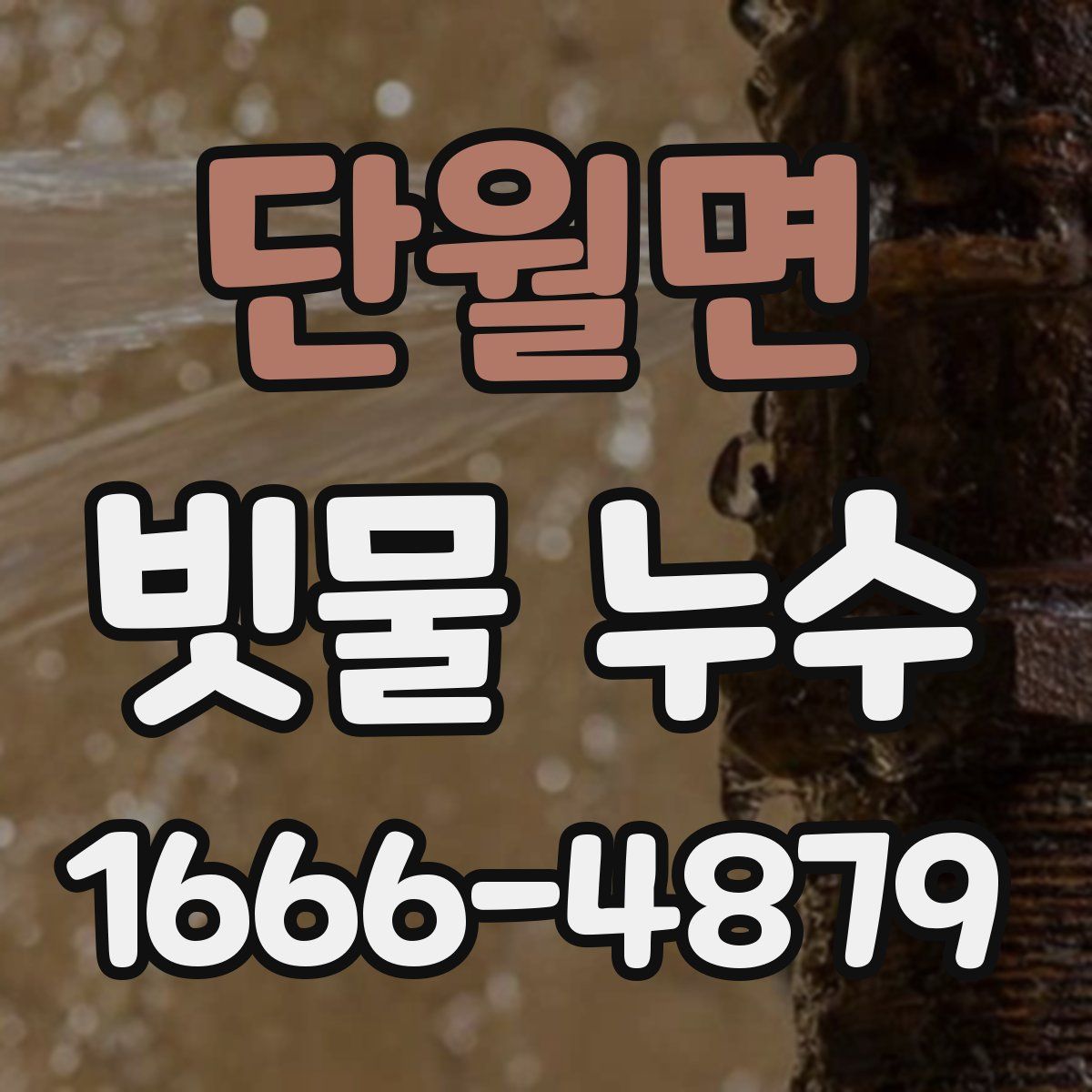 단월면 빗물 누수
