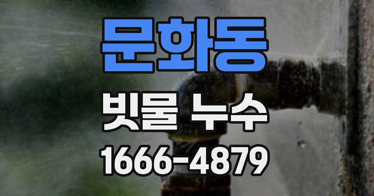 문화동 빗물 누수