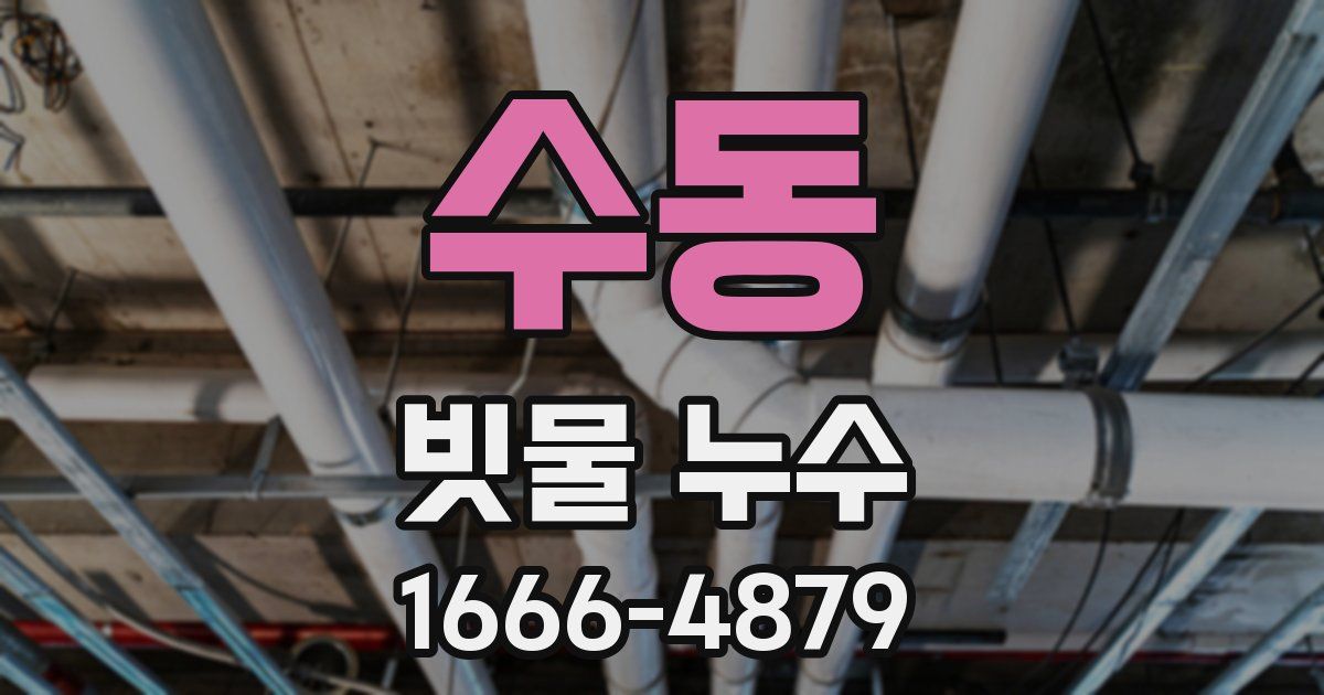 수동 빗물 누수