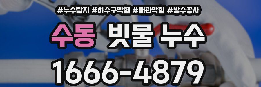 수동 빗물 누수