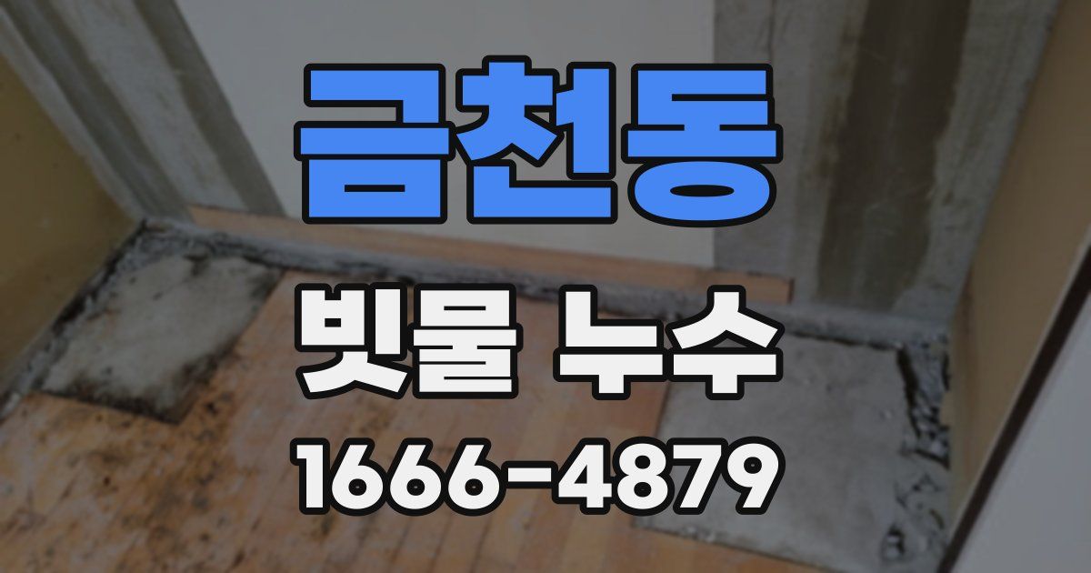 금천동 빗물 누수