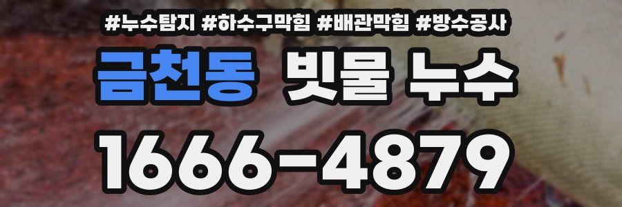 금천동 빗물 누수