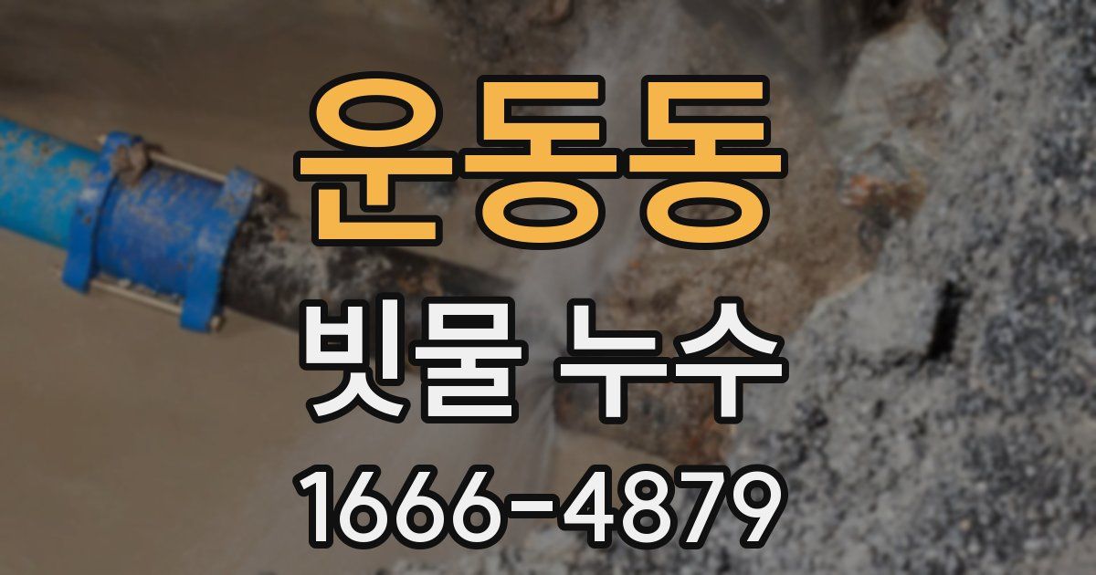 운동동 빗물 누수