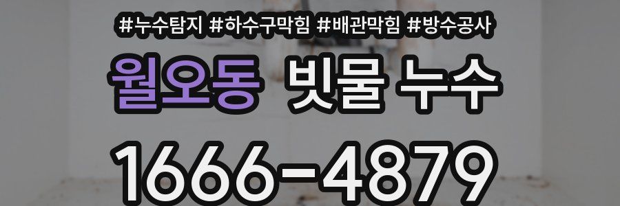 월오동 빗물 누수