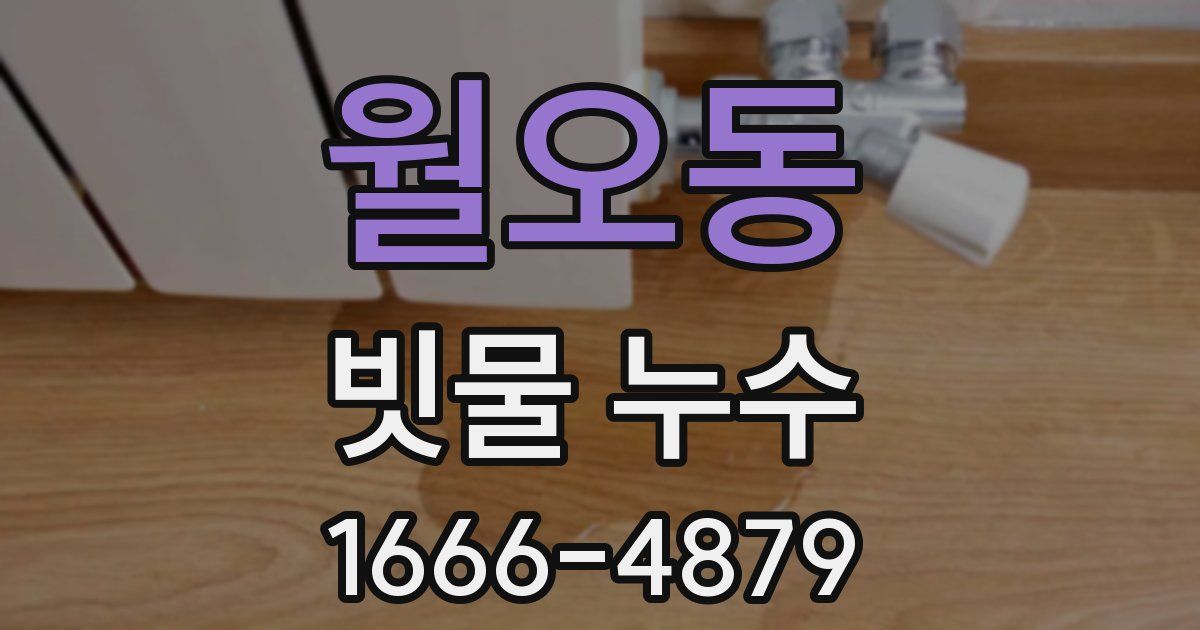 월오동 빗물 누수