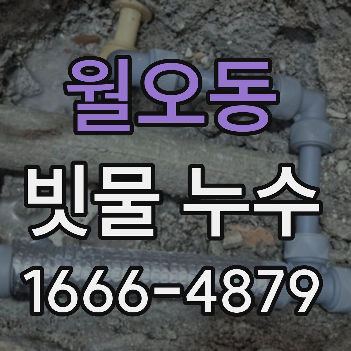 월오동 빗물 누수