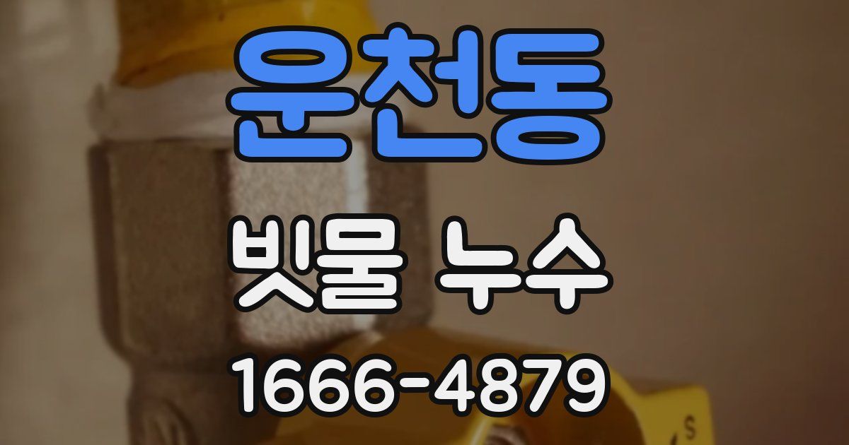 운천동 빗물 누수