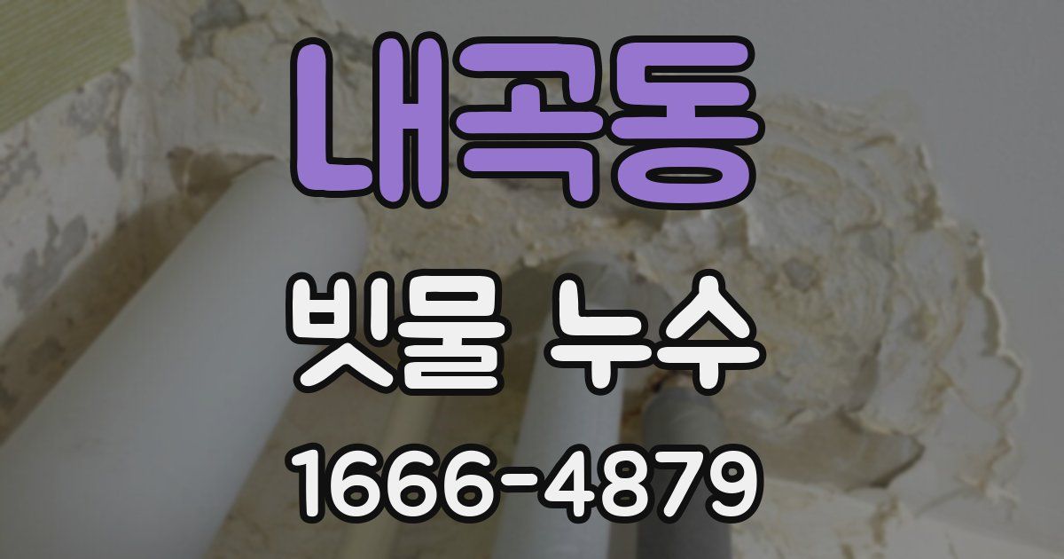 내곡동 빗물 누수
